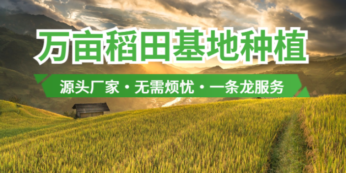 上海瑞佳米業有限公司 上海瑞佳米業有限公司