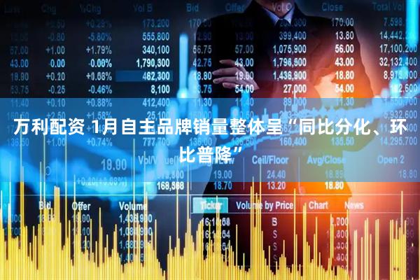 万利配资 1月自主品牌销量整体呈“同比分化、环比普降”